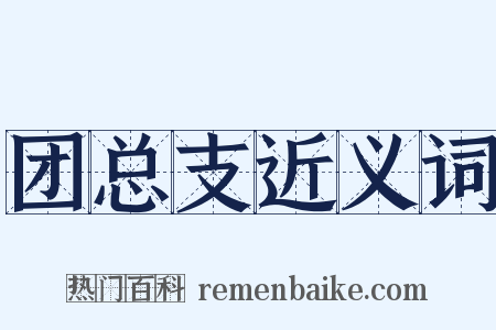 团总支近义词是什么意思的图片
